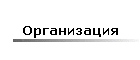 Организация